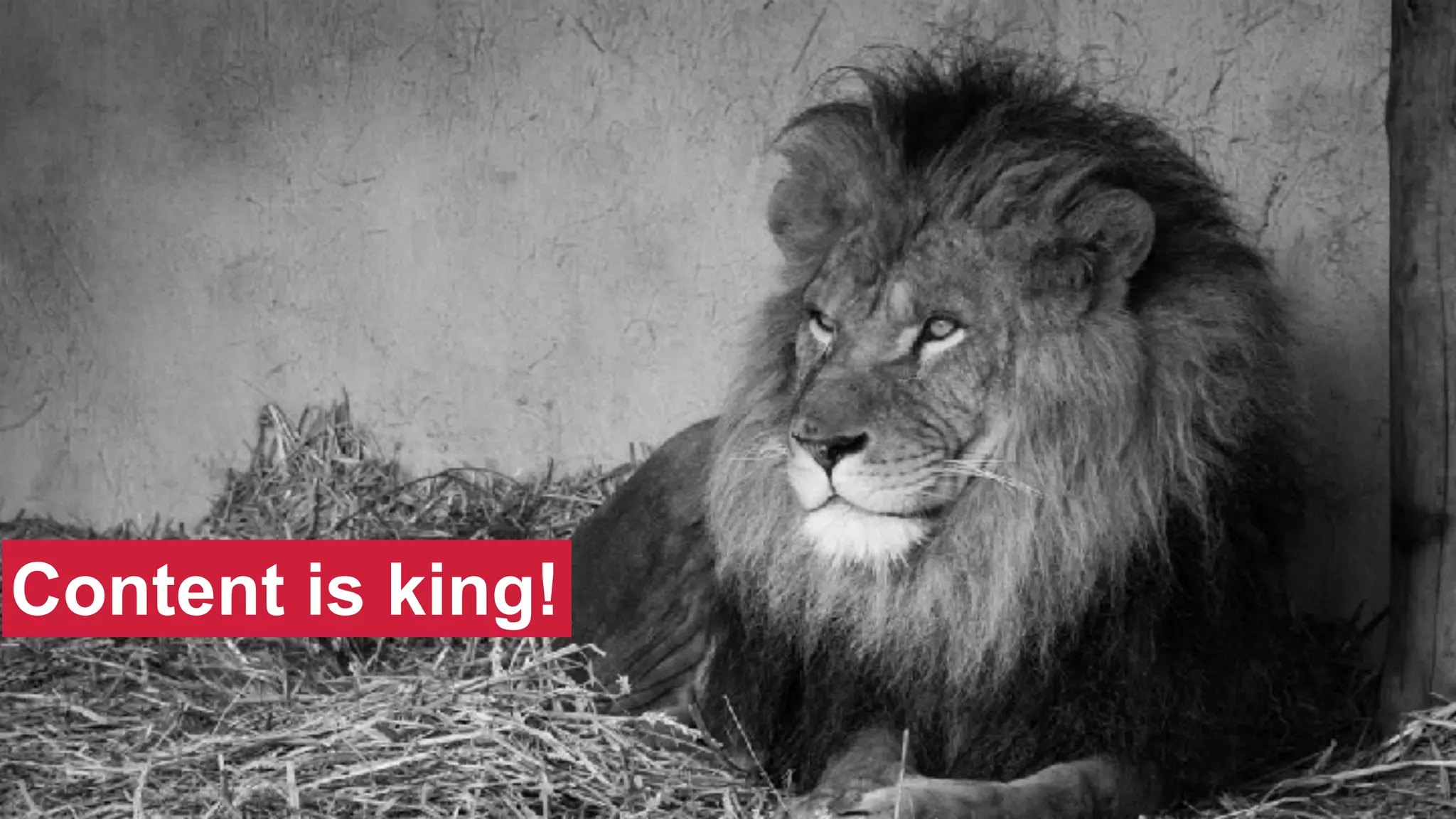 @SWallaceSEO | #INBOUND17
Content is king!
 