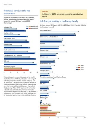 The Millennium Development Goals Report