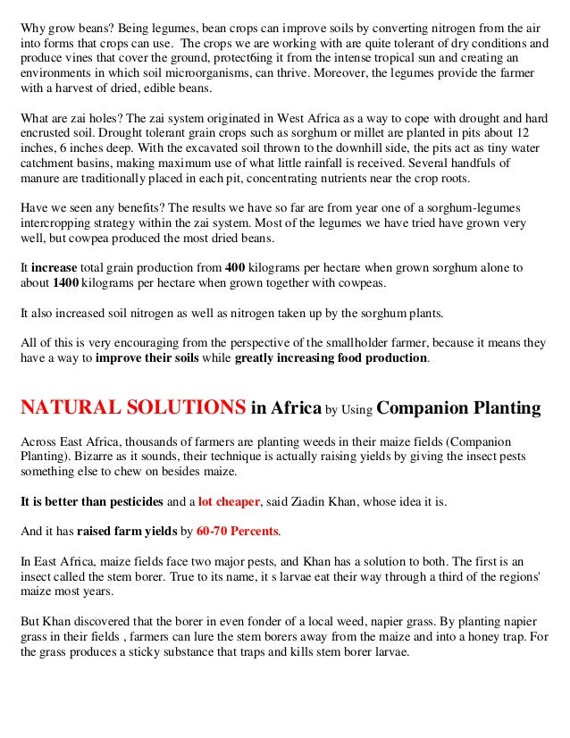 Companion Planting Spacing Calculator Spreadsheet