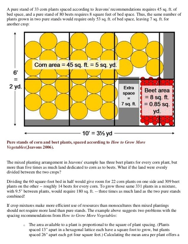 Companion Planting Spacing Calculator Spreadsheet Kentucky State Un