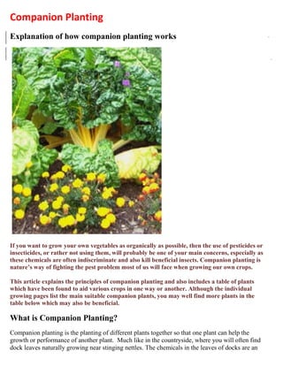 Companion Planting
Explanation of how companion planting works




If you want to grow your own vegetables as organically as possible, then the use of pesticides or
insecticides, or rather not using them, will probably be one of your main concerns, especially as
these chemicals are often indiscriminate and also kill beneficial insects. Companion planting is
nature’s way of fighting the pest problem most of us will face when growing our own crops.

This article explains the principles of companion planting and also includes a table of plants
which have been found to aid various crops in one way or another. Although the individual
growing pages list the main suitable companion plants, you may well find more plants in the
table below which may also be beneficial.

What is Companion Planting?
Companion planting is the planting of different plants together so that one plant can help the
growth or performance of another plant. Much like in the countryside, where you will often find
dock leaves naturally growing near stinging nettles. The chemicals in the leaves of docks are an
 