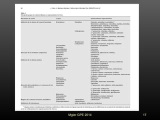 17Mgter GPE 2014
 