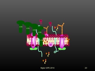 ATB
ATB
ATB
ATB
ATB
23Mgter GPE 2014
 