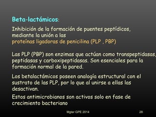 Inhibición de la formación de puentes peptídicos,
mediante la unión a las
proteínas ligadoras de penicilina (PLP , PBP)
Las PLP (PBP) son enzimas que actúan como transpeptidasas,
peptidasas y carboxipeptidasas. Son esenciales para la
formación normal de la pared.
Beta-lactámicos:
Los betalactámicos poseen analogía estructural con el
sustrato de las PLP, por lo que al unirse a ellas las
desactivan.
Estos antimicrobianos son activos solo en fase de
crecimiento bacteriano
28Mgter GPE 2014
 