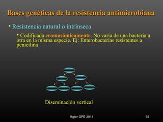 Bases genéticas de la resistencia antimicrobianaBases genéticas de la resistencia antimicrobiana
• Resistencia natural o intrínseca
• Codificada cromosómicamente. No varía de una bacteria a
otra en la misma especie. Ej: Enterobacterias resistentes a
penicilina
Diseminación vertical
35Mgter GPE 2014
 