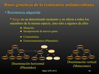 Bases genéticas de la resistencia antimicrobianaBases genéticas de la resistencia antimicrobiana
• Resistencia adquirida
• Surge en un determinado momento y no afecta a todos los
miembros de la misma especie, sino sólo a algunos de ellos
♣ Cromosómica
♣ Extracromosómica (Plásmidos)
♣ Mutación
♣ Incorporación de nuevos genes
Diseminación horizontal
(Plásmidos)
Diseminación vertical
(Mutaciones)
36Mgter GPE 2014
 