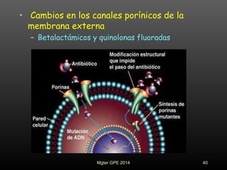 • Cambios en los canales porínicos de la
membrana externa
– Betalactámicos y quinolonas fluoradas
40Mgter GPE 2014
 