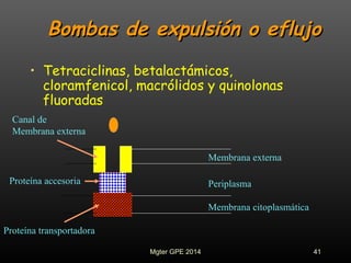 Bombas de expulsión o eflujoBombas de expulsión o eflujo
• Tetraciclinas, betalactámicos,
cloramfenicol, macrólidos y quinolonas
fluoradas
Membrana externa
Periplasma
Membrana citoplasmática
Canal de
Membrana externa
Proteína accesoria
Proteína transportadora
41Mgter GPE 2014
 