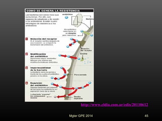 45
http://www.eldia.com.ar/edis/20110612
Mgter GPE 2014
 