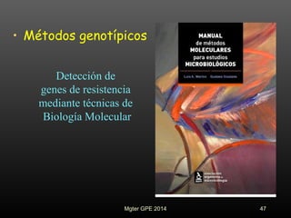 • Métodos genotípicos
Detección de
genes de resistencia
mediante técnicas de
Biología Molecular
47Mgter GPE 2014
 