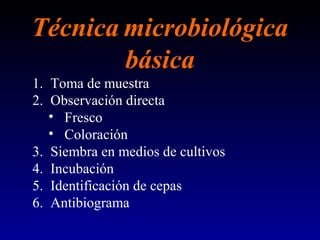 Técnica microbiológica
básica
1. Toma de muestra
2. Observación directa
• Fresco
• Coloración
3. Siembra en medios de cultivos
4. Incubación
5. Identificación de cepas
6. Antibiograma
 