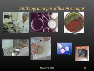 Antibiograma por difusión en agar
49Mgter GPE 2014
 