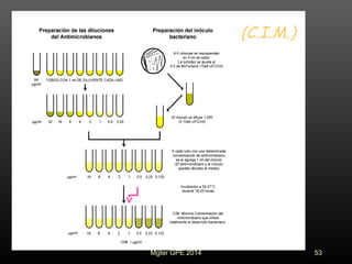 (C.I.M.)
53Mgter GPE 2014
 