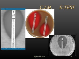 C.I.M. E-TEST
54Mgter GPE 2014
 