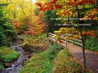 Só o amor torna imortal uma pessoa.

   O que damos e o que recebemos.
 