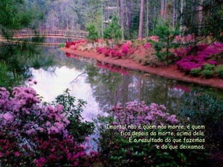 Imortal não é quem não morre, é quem
    fica depois da morte, acima dela.
        É o resultado do que fazemos
                   e do que deixamos.
 