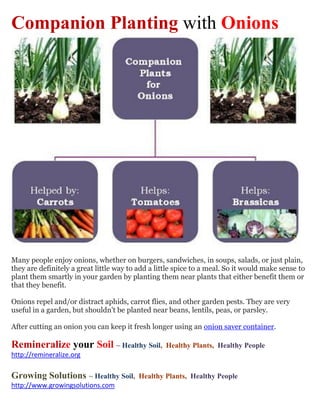 Companion Planting with Onions




Many people enjoy onions, whether on burgers, sandwiches, in soups, salads, or just plain,
they are definitely a great little way to add a little spice to a meal. So it would make sense to
plant them smartly in your garden by planting them near plants that either benefit them or
that they benefit.

Onions repel and/or distract aphids, carrot flies, and other garden pests. They are very
useful in a garden, but shouldn't be planted near beans, lentils, peas, or parsley.

After cutting an onion you can keep it fresh longer using an onion saver container.

Remineralize your Soil ~ Healthy Soil,             Healthy Plants, Healthy People
http://remineralize.org

Growing Solutions ~ Healthy Soil,         Healthy Plants, Healthy People
http://www.growingsolutions.com
 