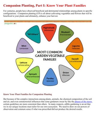 Companion Planting, Part I: Know Your Plant Families
For centuries, people have observed beneficial and detrimental relationships among plants in specific
configurations. Companion planting (CP) is all about cultivating vegetables and flowers that will be
beneficial to your plants and ultimately, enhance your harvest.




Know Your Plant Families for Companion Planting

But because of the complex interactions among plants, animals, the chemical composition of the soil
and air, and even extraterrestial influences that some gardeners swear by like the phases of the moon,
certain guidelines are more consistent than others. In many respects, edible gardening is an art that
we in our unique locations must tailor for our own ecosystem. We need to draw on our powers of
observation and common sense if what was prescribed did not produce the desired results.
 