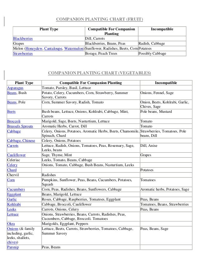 extensive companion planting chart and growing information companion planting chart for watermelon