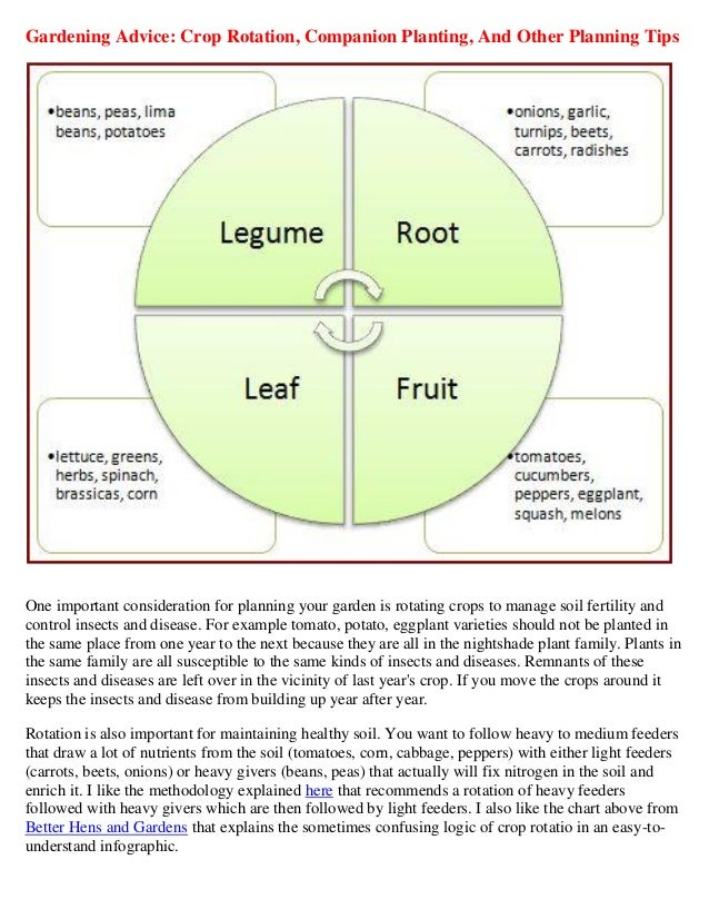 gardening advice crop rotation companion planting and other planning tips 1 638