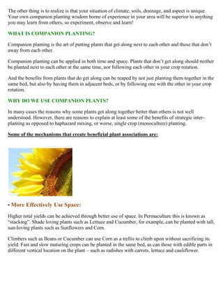 Guide and Charts On Planting Companion Vegetables and Herbs, and Fruit Tree Companion Planting