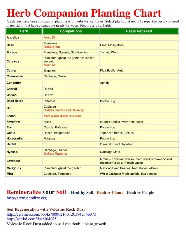 Permaculture Companion Planting Chart