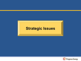 progress energy 4/3/08