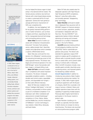 baker hughes  Annual Report 2002