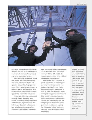 baker hughes  Annual Report 2002
