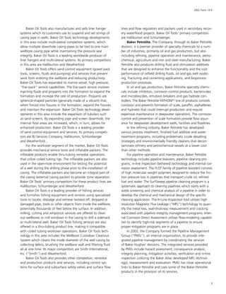 baker hughes  Annual Report 2002