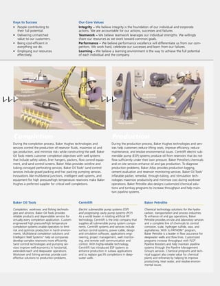 baker hughes  Annual Report 2002