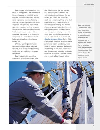 baker hughes  Annual Report 2002