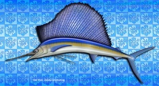 Sail Fish. Adobe photoshop
 