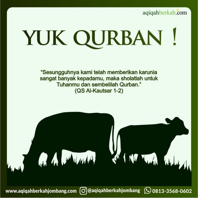 Hewan Qurban 2019 Harga Sapi Qurban Jombang