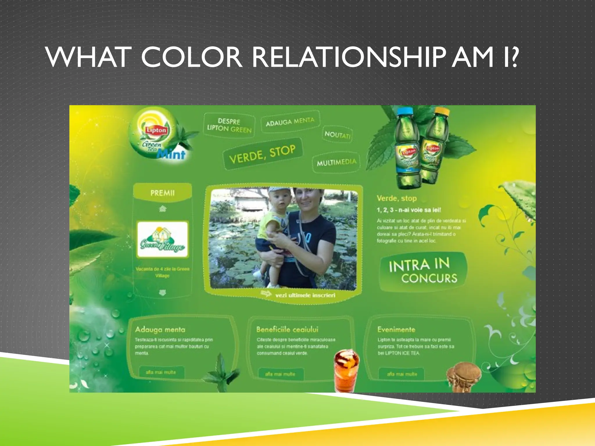 WHAT COLOR RELATIONSHIP AM I?
 