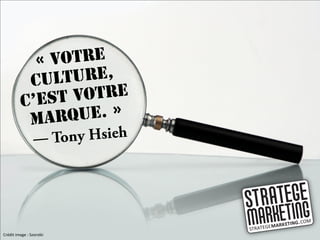 Crédit image : Szorstki
 