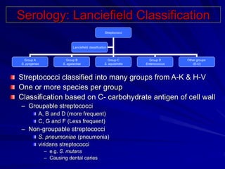 Serology: Lanciefield Classification
Streptococci classified into many groups from A-K & H-V
One or more species per group...