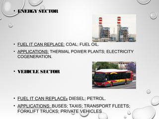 • ENERGY SECTOR
• FUEL IT CAN REPLACE: COAL; FUEL OIL.
• APPLICATIONS: THERMAL POWER PLANTS; ELECTRICITY
COGENERATION.
• VEHICLE SECTOR
• FUEL IT CAN REPLACE: DIESEL; PETROL.
• APPLICATIONS: BUSES; TAXIS; TRANSPORT FLEETS;
FORKLIFT TRUCKS; PRIVATE VEHICLES
 