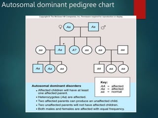 inheritance autosomal and sex linked.ppt