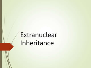 Extranuclear
Inheritance
 