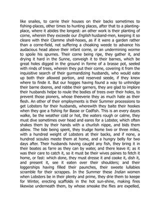 like snailes, to carrie their houses on their backs sometimes to
fishing-places, other times to hunting places, after that to a planting-
place, where it abides the longest: an other work is their planting of
corne, wherein they exceede our English husband-men, keeping it so
cleare with their Clamme shell-hooes, as if it were a garden rather
than a corne-field, not suffering a choaking weede to advance his
audacious head above their infant corne, or an undermining worme
to spoile his spurnes. Their corne being ripe, they gather it, and
drying it hard in the Sunne, conveigh it to their barnes, which be
great holes digged in the ground in forme of a brasse pot, seeled
with rinds of trees, wherein they put their corne, covering it from the
inquisitive search of their gurmandizing husbands, who would eate
up both their allowed portion, and reserved seede, if they knew
where to finde it. But our hogges having found a way to unhindge
their barne doores, and robbe their garners, they are glad to implore
their husbands helpe to roule the bodies of trees over their holes, to
prevent those pioners, whose theeverie they as much hate as their
flesh. An other of their employments is their Summer processions to
get Lobsters for their husbands, wherewith they baite their hookes
when they goe a fishing for Basse or Codfish. This is an every dayes
walke, be the weather cold or hot, the waters rough or calme, they
must dive sometimes over head and eares for a Lobster, which often
shakes them by their hands with a churlish nippe, and bids them
adiew. The tide being spent, they trudge home two or three miles,
with a hundred weight of Lobsters at their backs, and if none, a
hundred scoules meete them at home, and a hungry belly for two
days after. Their husbands having caught any fish, they bring it in
their boates as farre as they can by water, and there leave it; as it
was their care to catch it, so it must be their wives paines to fetch it
home, or fast: which done, they must dresse it and cooke it, dish it,
and present it, see it eaten over their shoulders; and their
loggerships having filled their paunches, their sweete lullabies
scramble for their scrappes. In the Summer these Indian women
when Lobsters be in their plenty and prime, they drie them to keepe
for Winter, erecting scaffolds in the hot sun-shine, making fires
likewise underneath them, by whose smoake the flies are expelled,
 