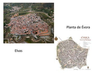 Elvas
Planta de Évora
 