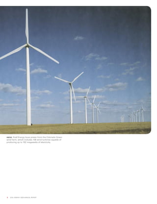 xcel energy ar 03 narrative