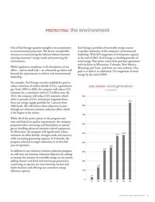 xcel energy ar 03 narrative