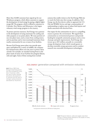 xcel energy ar 03 narrative