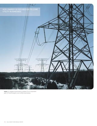 xcel energy ar 03 narrative