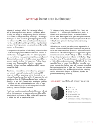 xcel energy ar 03 narrative