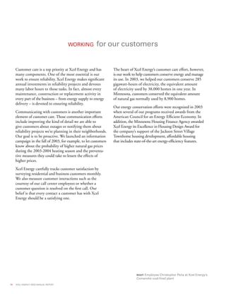 xcel energy ar 03 narrative