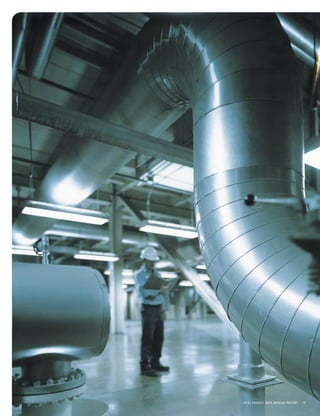 xcel energy ar 03 narrative