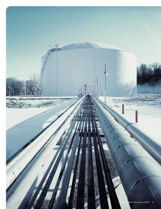 xcel energy ar 03 narrative